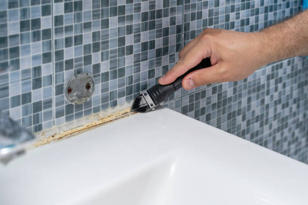Best Best Mold Removal Companies  in Evanston, IL