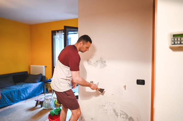 Best Mold Removal Company Near Me  in Evanston, IL